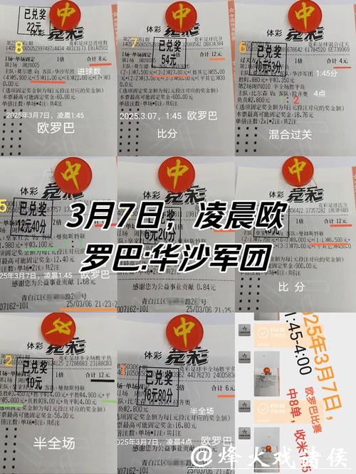 世界杯投注：世界杯冷门投注案例深析